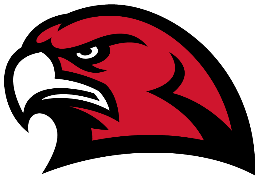 Red Hawks Hockey