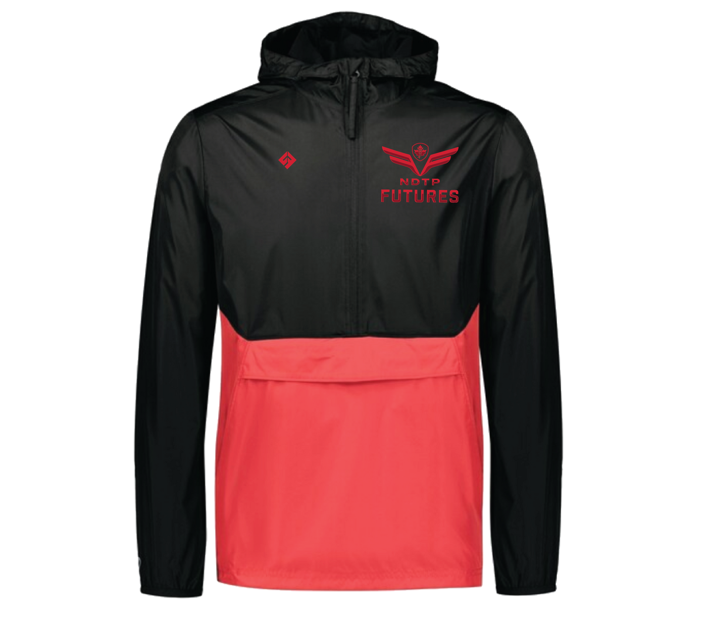 NTDP  Future -MANDATORY ITEMS