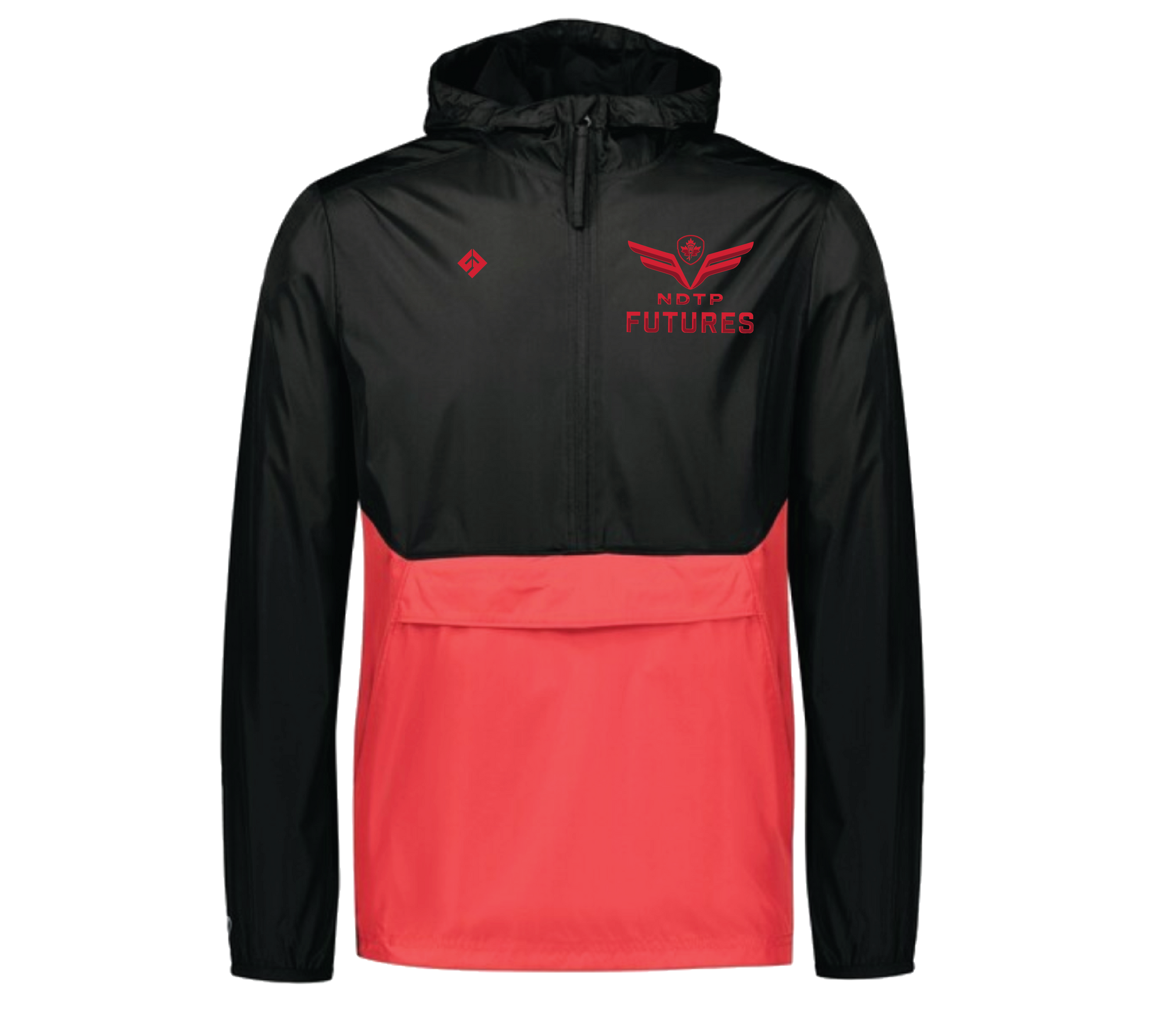 NTDP  Future -MANDATORY ITEMS