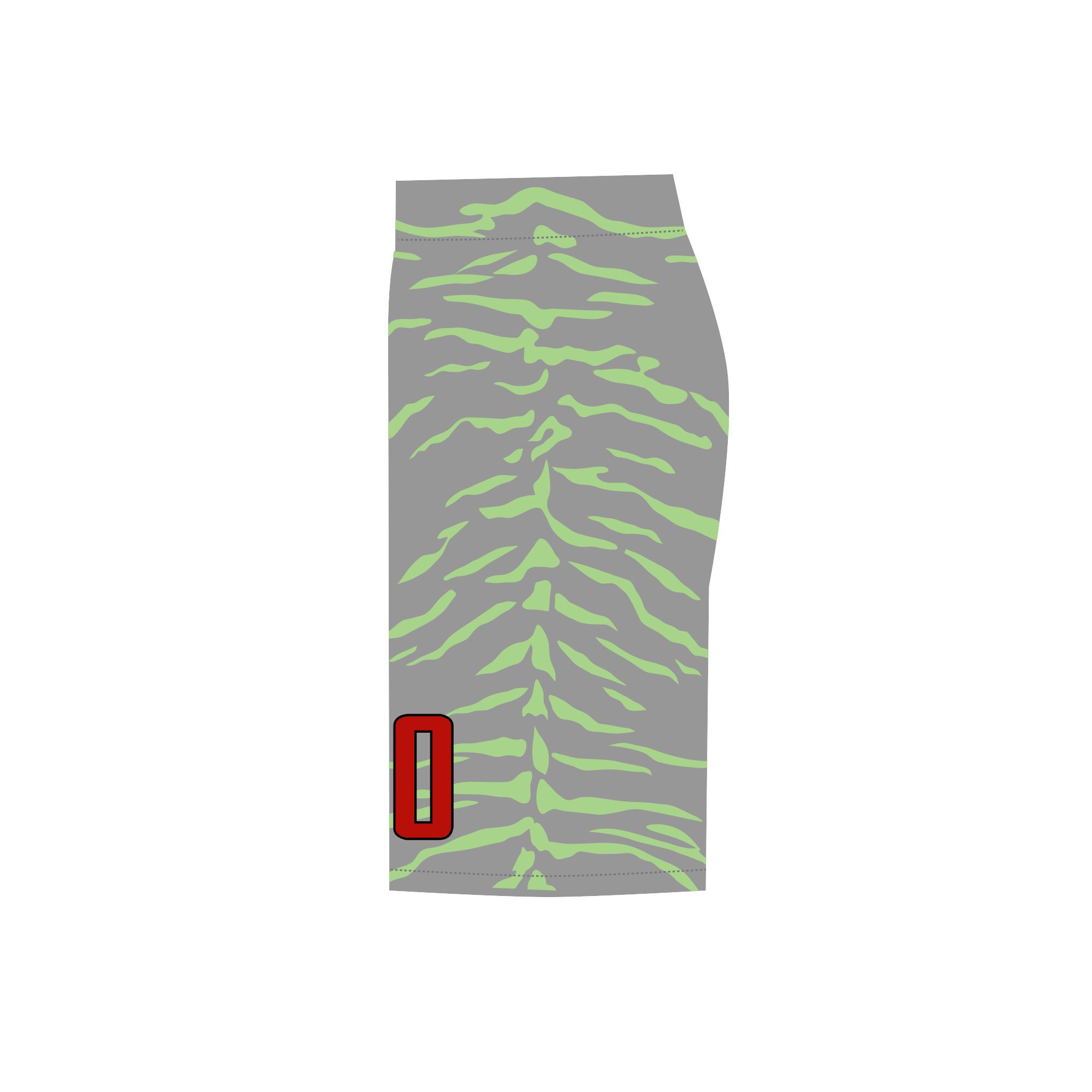 Albany Hyenas Lacrosse Shorts