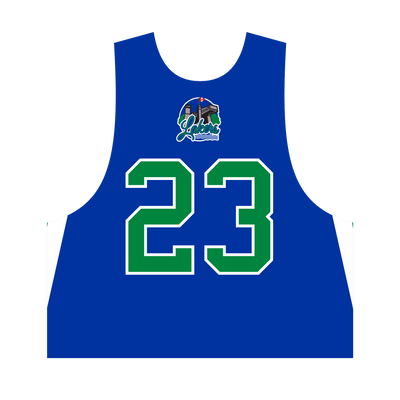 Lakers Reversible Pinnie