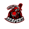 Reapers Car Decals