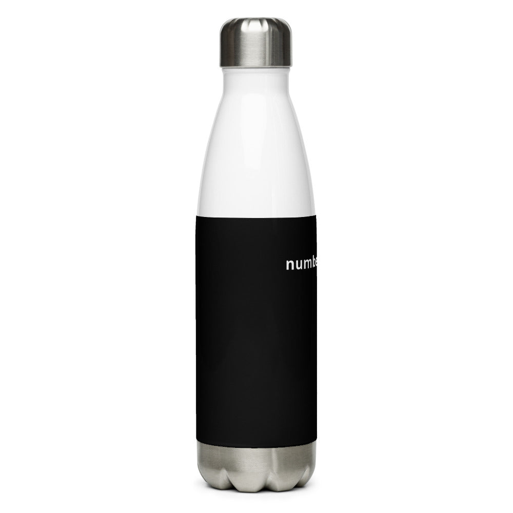 Stainless Steel Water Bottle