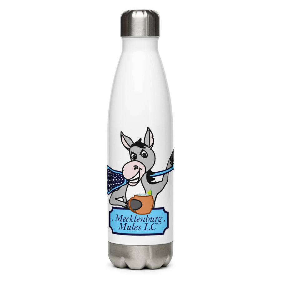 Stainless Steel Water Bottle