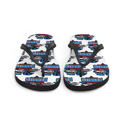 Flip-Flops